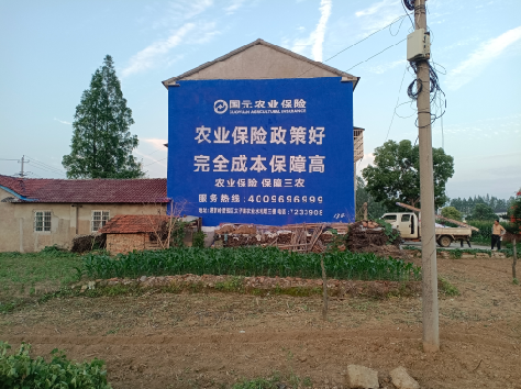 福贡墙体广告为何受追捧?